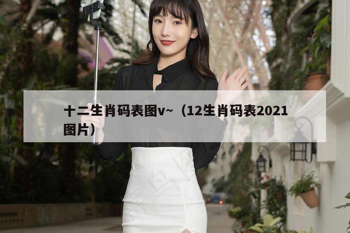 十二生肖码表图v～（12生肖码表2021图片）